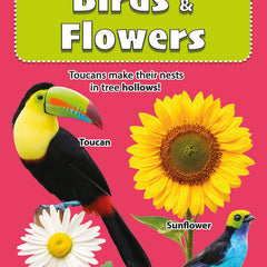 My First Birds & Flowers