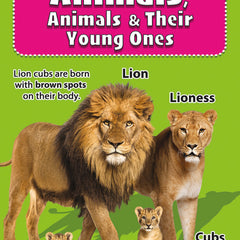 My First Animals & Their Young Ones